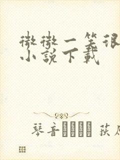 微微一笑很倾城小说下载