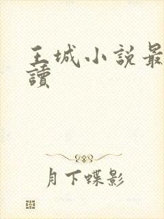 王城小说最近阅读