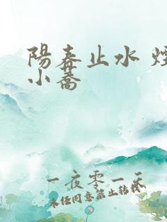 阳春止水 烟树小荞