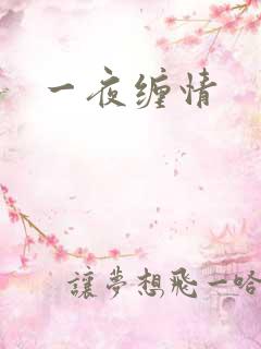一夜缠情