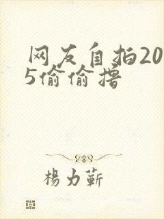 网友自拍2015偷偷撸
