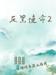 反黑使命2
