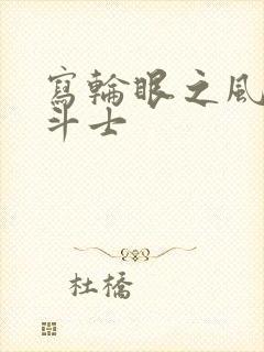 写轮眼之风流圣斗士