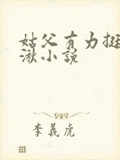 姑父有力挺送徐湫小说