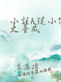 小说h从小做到大养成