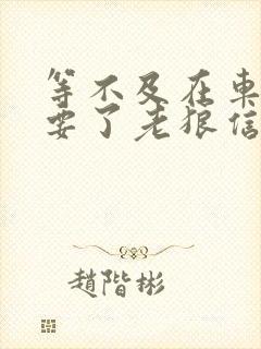 等不及在车里就要了老狼信息