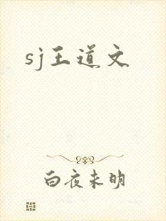 sj王道文