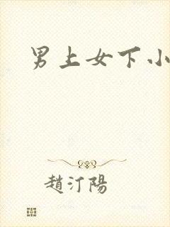 男上女下小说
