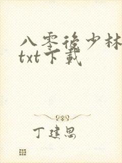 八零后少林方丈txt下载