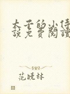 太子的小侍妾小说免费阅读全文