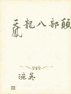天龙八部颠龙鸾凤