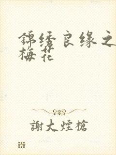 锦绣良缘之驿寄梅花