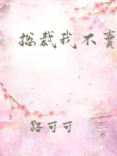 总裁我不卖宝宝