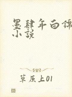 墨肆年白锦瑟 小说