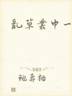 乱草丛中一杆枪