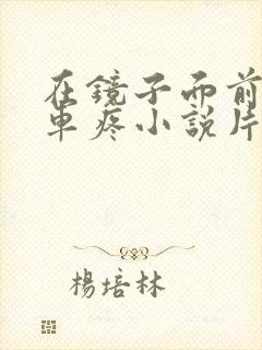 在镜子面前做开车疼小说片段