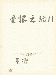 爱恨之约11