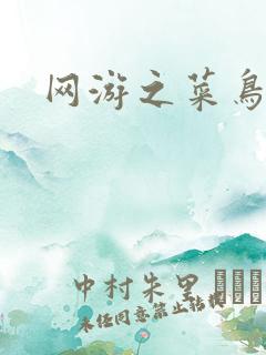 网游之菜鸟高手