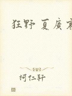 狂野 夏广寒