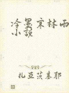 冷墨寒林雨彤的小说