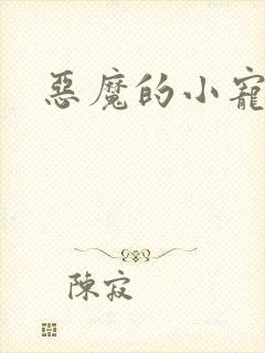 恶魔的小宠妻