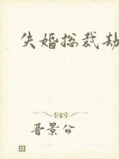 失婚总裁劫前妻