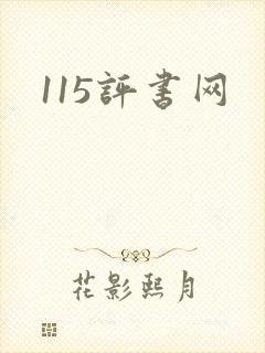 115评书网