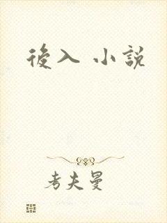 后入 小说