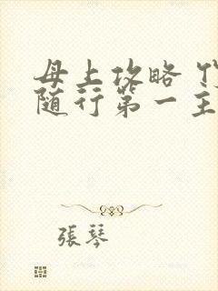 母上攻略 竹影随行第一主板