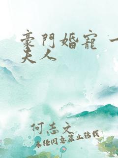 豪门婚宠 一品夫人