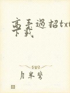 高手过招txt下载