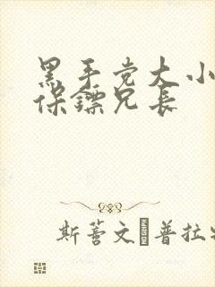 黑手党大小姐和保镖兄长