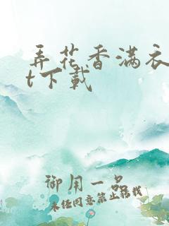 弄花香满衣txt下载