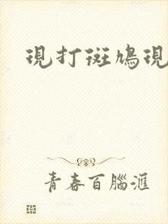 现打斑鸠现钳毛