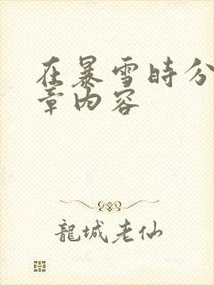 在暴雪时分54章内容