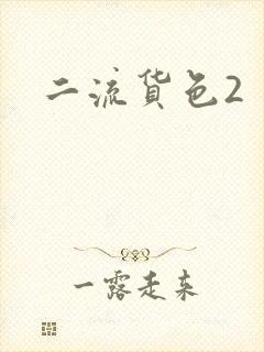 二流货色2