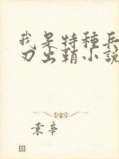 我是特种兵之利刃出鞘小说