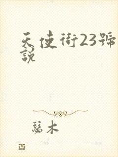 天使街23号小说