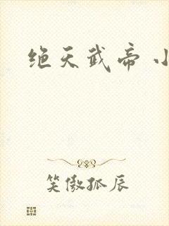 绝天武帝 小说