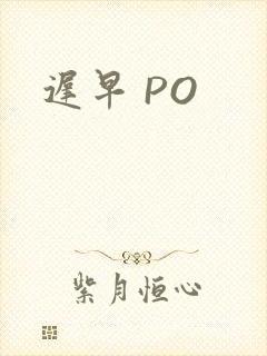迟早 PO