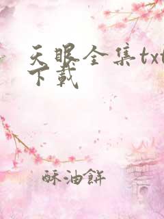 天眼全集txt下载