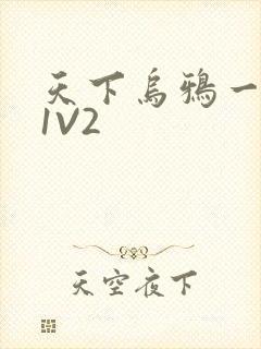 天下乌鸦一般黑1V2