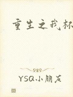 重生之我杯具了