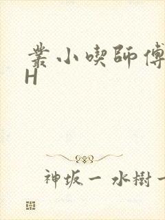 丛小吃师傅的HH