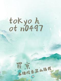 tokyo hot n0497