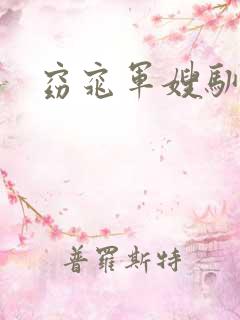 窈窕军嫂驯夫记