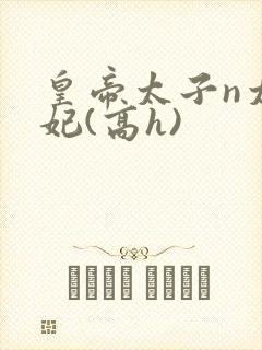 皇帝太子n太子妃(高h)