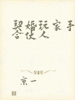 契婚玩家手册之合伙人