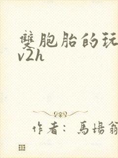 双胞胎的玩具1v2h