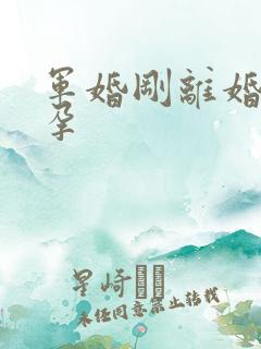 军婚刚离婚就怀孕